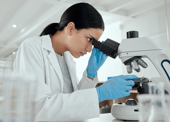 highly qualified staff