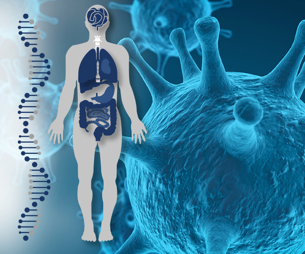 Immune DNA Immune DNA