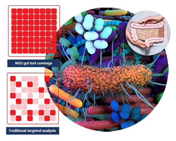Next Generation Gut Testing