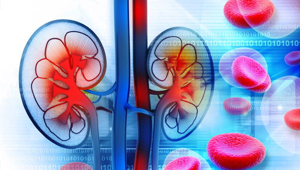 Renal Disorders Renal Disorders